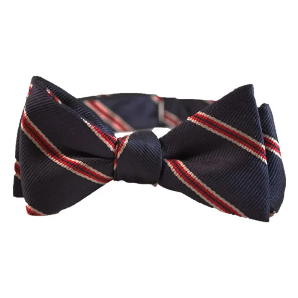 Striped Butterfly Bow Tie